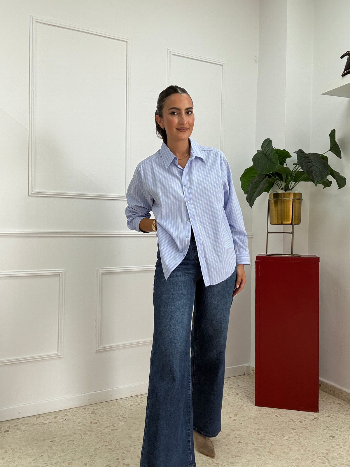 CAMISA OXFORD RAYITAS