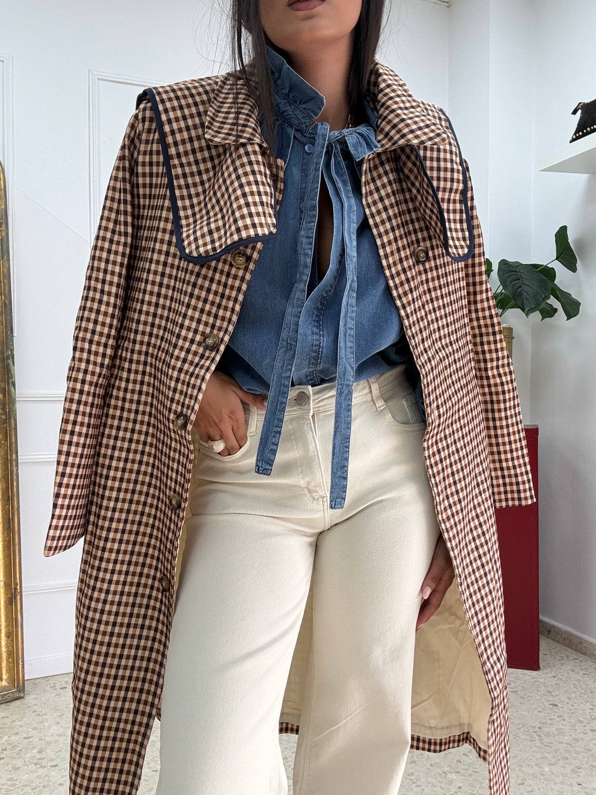 GABARDINA VICHY CUELLO